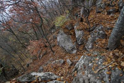 Прикрепленное изображение: A58DSC01658-1.jpg